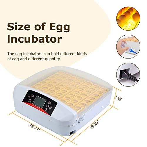 Egg Incubator ，56 Eggs Fully Automatic Egg Incubator with LED Lighting Automatic Turner and Intelligent Temperature Control， for Eggs/Duck Eggs/Bird Eggs/Goose Eggs Hatching