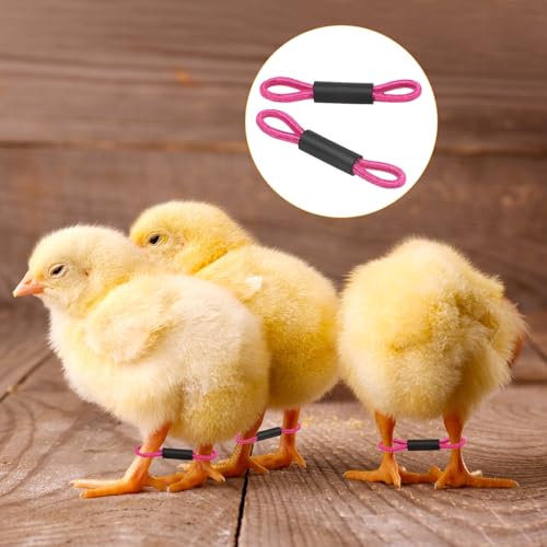 M METERXITY 100-Pack Adjustable Chick Leg Bands, 1.38" x 0.2" Polyester Chicken Leg Brace for Chicks/Ducks/Birds [Rose Red] Poultry Leg Bands - color: Rose Red