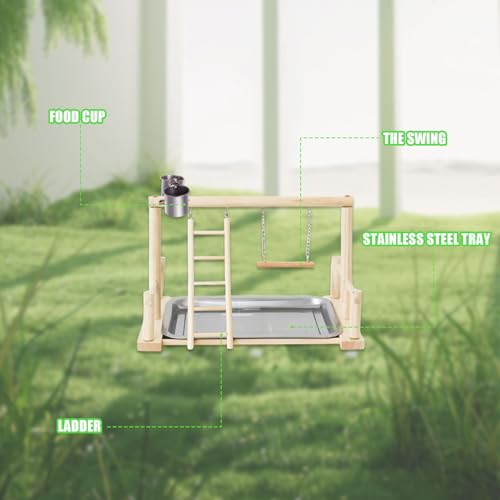 Bird Playground, Natural Wood Bird Perch Stand with Removable Tray and 2 Stainless Steel Feeder Cups, Parrot Playstand Bird Cage Toys for Conure Parakeet Cockatiel Parrot (B) - color: B