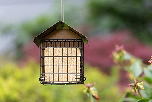 MEKKAPRO Suet Bird Feeder Metal Roof Cage Hanger Holds 2 Suet Cakes Outside | Woodpecker Feeder Offering Two Suet Bird Feeder Capacity; A Hanging Wild Bird Feeder Basket Built For Outside Use Year-round
