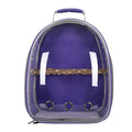 Transparent Parrot Backpack: Wooden Perch, Shoulder Strap, Breathable. Ideal for outings with Parrots, Magpies, & Birds. Comfortable & Spacious. (Purple-1) - color: Purple-1