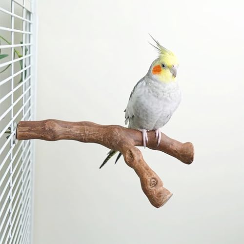 6 PCS Bird Perch Stand Natural Wood Standing & Hanging with Rope, Bird Cage Accessories for Small Parrots