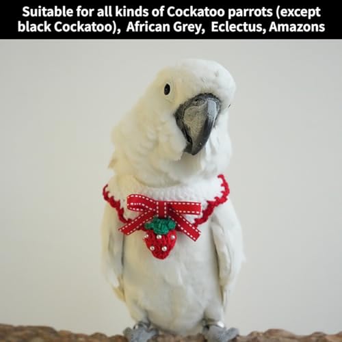 Bird Collar, Bird Clothes, Parrot Bird Supplies, Cute Collar for Medium and Large Birds Eclectus Cockatoo African Grey Amazon Bow Tie Scarf Super Cute Costume Photo Prop for Parrots (Red Bow) - style: Red Bow