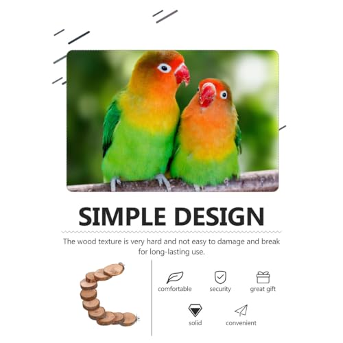 Balacoo Parrot Ladder, Bird Platform Perch, Hamster Platform, Parakeet Cage Toy, Bird Cage Natural Wood Ladder, Standing Perch (10 Steps)