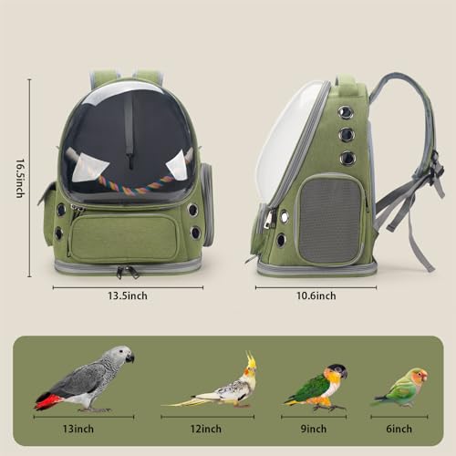 Bird Backpack Carrier Travel Cage with Perch, Tray and Breathable Clear Window, Bird Travel Cage for Cockatiel Caique Conure Quaker, for Vetting Camping Hiking (Green) - color: Green