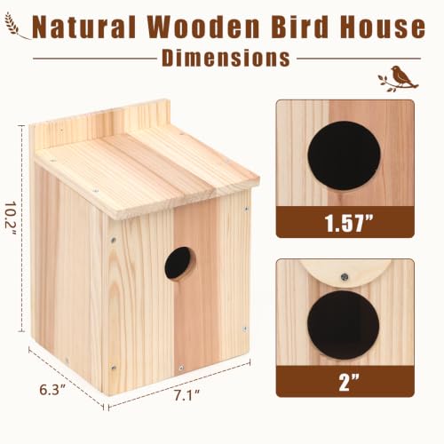 Bird House Kit, Large DIY Wooden Birdhouse Kits Including Paints and Brushes, Wooden DIY Bird House for Garden Yard Decor Gifts, Complete Crafting Kit