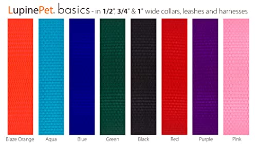 Training Tab by Lupine in 1" Wide Blaze Orange for Medium and Larger Dogs - size: 1" wide; 11" long