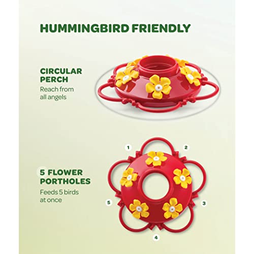 Hummingbird Feeder [Set of 2] Leakproof Clear Plastic 10 oz Wide Mouth. | Features A Built-in Ant Guard - Circular Perch with 5 Feeding Ports - Wide Mouth/2 Part Base for Easy Filling & Cleaning. - size: 10 oz - 2 Pack