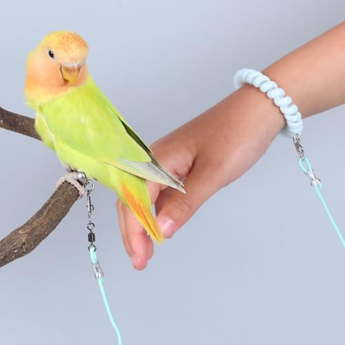 Parrot Flying Rope Lightweight Bird Harness Leash with Foot Ring Leg Band Elastic Bird Flying Leash Outdoor Training Traction Rope for Macaw African Greys Parakeet Cockatoo Sun Conure