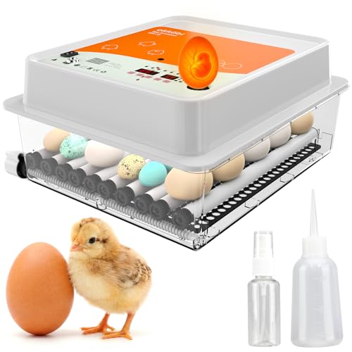 OBI-36 Egg Incubator for Hatching - 36 Eggs - Stable Temperature & Humidity Control with Eggloo Insulation, Candler - Ideal for Families and Farms - Suitable for Chicken, Duck, Quail Eggs - color: Orange