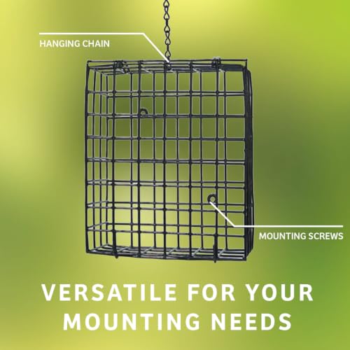Birds Choice Suet Cage Feeder, Holds 1 Suet Cake | Hanging Bird Suet Feeder for Woodpeckers, Jays, Nuthatches | Vinyl Coated Grids | Sturdy for Garden, Backyard, Outdoor | 4.75" L x 1.625" W x 6" H | Holds 1 Suet Cake or Seed Block, Hanging Wire Cage Desi