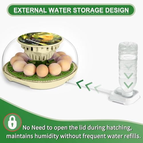 Smart Chicken Incubators for Hatching Eggs with Automatic Turner Small Poultry Duck Quail 12 Egg Incubator Temperature Control Display Hatcher Machine (Chirvy) - color: Chirvy