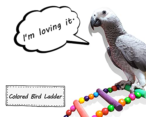 Bird Ladder Toys Coloured Flexible Parrot Swing Bridge Wooden Cockatiel Cage Hanging Climbing Ladder (39 in (16 Steps)) - size: 39 in (16 Steps)