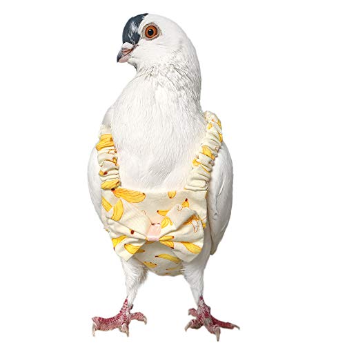 Pigeon Diaper with Leash for Pigeons over 5 Months Old