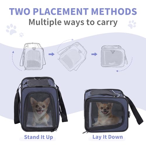 Petsfit Airline Approved Pet Carrier for Small Dogs & Cats, 19x9x12 TSA Approved Carrier, with Removable Dual-Sided Padding (2-Way Placement) - Fits Under Most Airplane Seats, Escape Proof (Navy) - color: Navy, size: 19.0"L x 9.0"W x 12.0"H