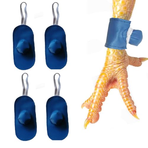 Gamefowl Supplies Chicken Leg Bands Rooster Booster Rooster Spur Covers Gallos De Pelea Accessories Chicken SaddleTie Cords for Gamefowl Accessories Leg Protect & Care