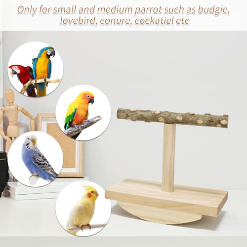 Natural Wood Bird Perch Stand, Rocking Perch for Bird Stand Swing (Small) | Intelligence Puzzle Training Wood Parrot Tumbler Toy,Playstand Birds Accessories for Parakeets,Cockatiels,Budgies,Conures - size: Small
