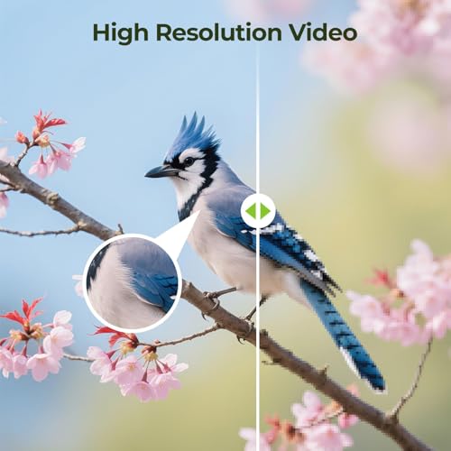 Smart Bird Feeder with Camera Solar Powered for Outside Birdhouse with Camere, AI Identify Birds Species, FHD Live Video, Instant Arrival Alerts, Ideal Gift for Family or Bird Lovers (Azure Blue)
