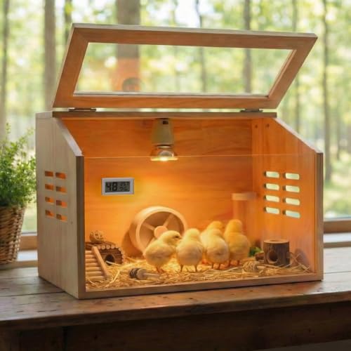 Wooden Chick Brooder Box with Heat Lamp and Thermometer, 15.7 x 12 x 12 in | Thick wood construction with pre-drilled holes suitable for chicks, ducklings, quail, hamsters small animals - size: Small(15.7x12x12 in)