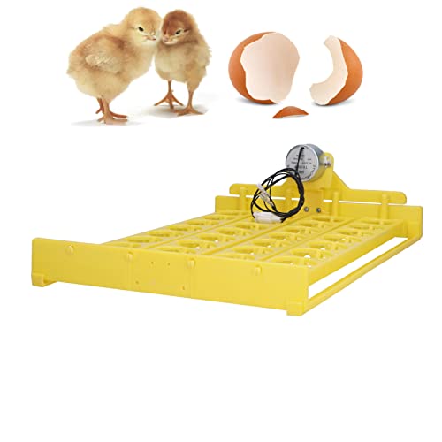 Automatic Egg Turner Convenient 32 Egg Capacity Plastic Tray, 45° Swing for Even Heat Distribution, Hollow Design for Optimal Air Circulation (12V) - size: 12V