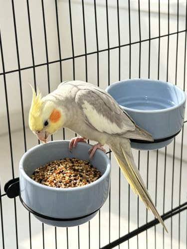 2 Pcs Bird Food Bowl Ceramic Bowls for Birds Small Parakeet Food Bowl Parrot Feeding Cups, Bird Cage Feeder for Parakeets Conure Cockatiels Lovebird Budgie (Blue)