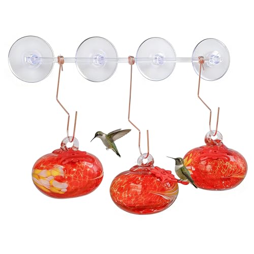 3PCS Window Hummingbird Feeder with Suction Cups(Red) - color: Red