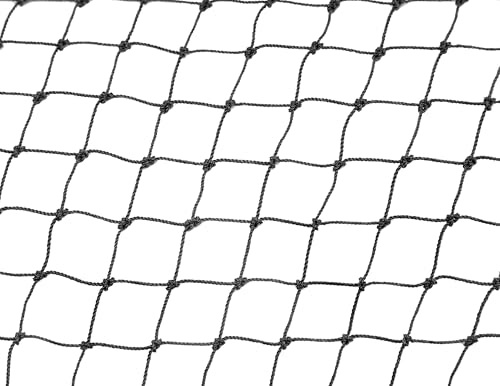 Bird B Gone Bird Net 2000 (Black) - (100' x 200') – 3/4" Mesh Heavy-Duty Bird Netting – Knotted Polyethylene Exclusion Net for All Bird Species - color: Black, size: 100x200
