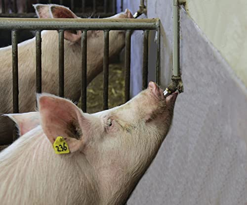 Stainless Steel Pig Nipple Drinker Waterer 1/2" NPT Thread 15PCS | Water Feeder Automatic for Piglets Sows Drinking
