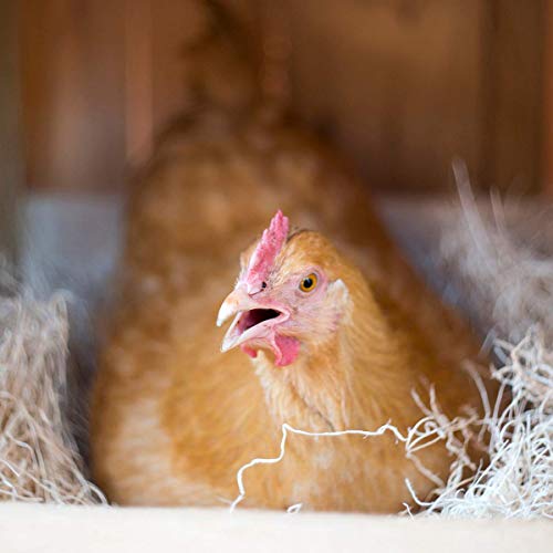 Laying Hen Nest Box Pads Made in USA from Sustainable Aspen Exceslior - 13x13 Nesting Box Liners (6-Pack) - size: 6-Pack