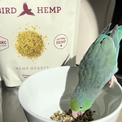 Hemp Well Organic Hemp Hearts for Birds - Reduces Feather Plucking, Promotes Relaxation, Immune Support, Organic, USA Grown, GMO Free – 8 Ounces - size: 8 Ounce (Pack of 1)