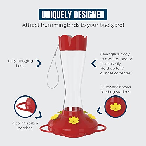 MEKKAPRO Glass Hummingbird Feeder 2-Pack 10oz Top Fill 5 Feeding Ports | Designed As A Top Fill Hummingbird Feeder, This Hanging Backyard Feeder Set Offers 5 Nectar Feeding Stations For Outdoor Use - color: Classic, size: 10oz - 2 Pack