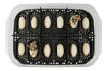 Gecko Egg Incubation Container with Built-in Tray – Holds 12 Eggs | Clear Polypropylene Box | Space-Saving Design | Suspended Incubation for Higher Hatch Rates