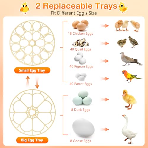 Egg Incubators for Hatching Eggs, 18 Egg Incubator with Automatic Egg Turning and Humidity Control Incubator for Chicken Duck Quail Home Lab - size: O-18H