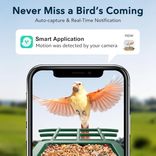 PeckCam® Bird Feeder with Camera Solar Powered 2K Live Video Auto Capture | AI Bird Species Identification, Instant App Alert, IP65 Waterproof, Easy Setup, Backyard Bird-Watching, Gift for Bird Lovers - color: Green