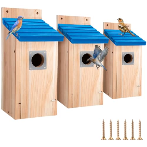 Dreyoo 3 Pack Bluebird Box Houses for Outside,1-1/2'' Entrance Hole Wooden Bird Houses with Metal Guard, Secure Latch,Fledgling Grooves,Air Vents for Bluebird Wren Swallow (Blue Roof,Wood Body) - color: Blue Roof, Wood Body