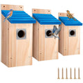Dreyoo 3 Pack Bluebird Box Houses for Outside,1-1/2'' Entrance Hole Wooden Bird Houses with Metal Guard, Secure Latch,Fledgling Grooves,Air Vents for Bluebird Wren Swallow (Blue Roof,Wood Body) - color: Blue Roof, Wood Body