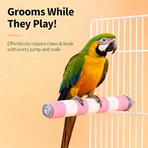 AOTU Natural Sandstone Parrot Perch Bird Toys – Durable Beak & Claw Trimming Grinding Stone for Birds, 7.9” x 1” – Safe, Non-Toxic, Long-Lasting Bird Cage Accessory (Pink and White, 7.9”) - color: Pink and White