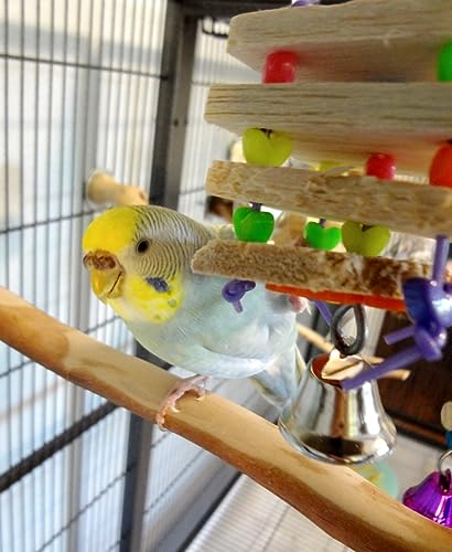 Super Bird Creations SB680 Balsa Stack Bird Toy, Small Bird Size, 6.5" x 2"