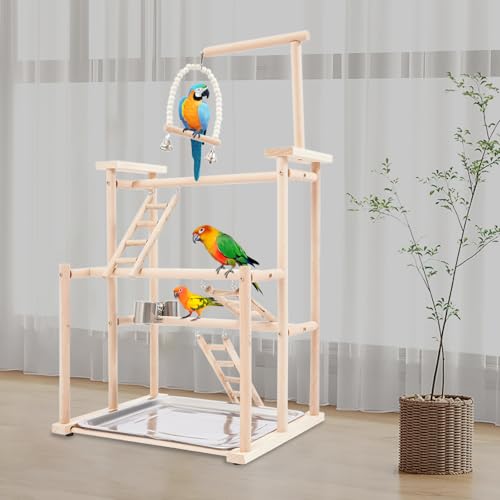 Premium Parrot Play Stand - Large Bird Gym Activity Center for Macaws, Cockatoos, African Greys, Indoor Outdoor Playground