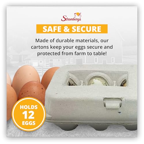 Stromberg's Large Blank Egg Cartons, Bulk Pack for Large Eggs, Perfect for Custom Branding, Safe & Secure Egg Storage, Convenient Stacking for Easy Transport and Storage, 250 Pack