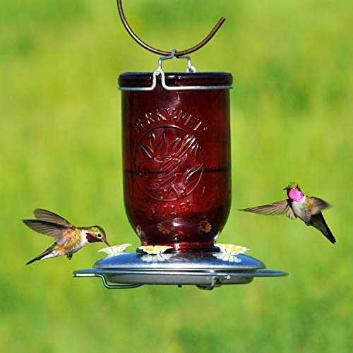 Perky-Pet Red Mason Jar Vintage Glass Hummingbird Feeder - Outdoor Garden Décor - 32-oz capacity, 786-1SR - color: Red Mason Jar