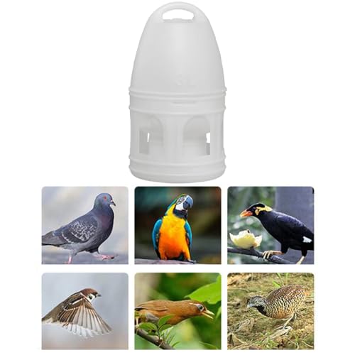 2X Bird Water Drinker Chicken Dove Quail Parrot Parakeet Pigeon Water Dispenser Feeder with Handle Large Capacity Water Pot Container