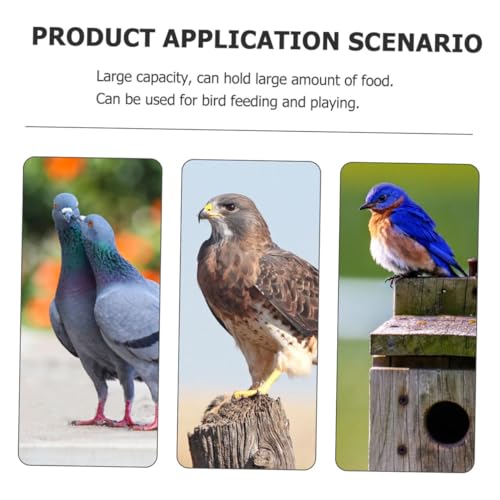 Tofficu Suction Cup Acrylic Bird Feeder for Seed Feeding No Spill Food Feeding Station with Hanging Design Suitable for Indoor and Outdoor Wild Birds