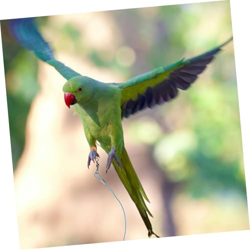 TOYANDONA 2pcs Parrot Training Leash Elastic Flying Rope for Safe Outdoor Activities Comfortable for Birds for Parrot and Training