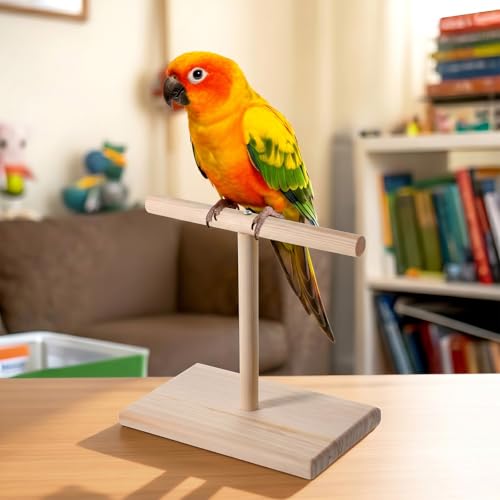 Bird Perch Stand, Bird Training Portable Tabletop Parrot Stand | Parakeet Perches for Cockatiels, Conures, Macaws, Finches Lovebirds