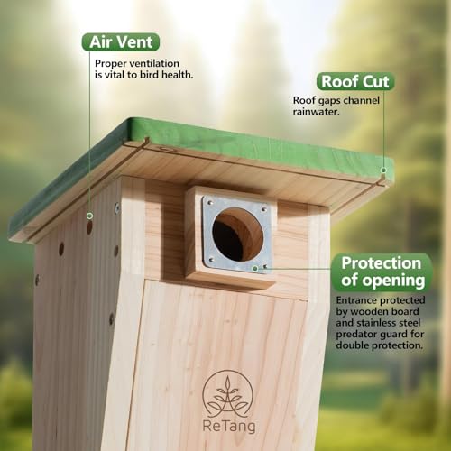 Cedar Bird House with Metal Predator Guard, Wild Bird Nesting Box | Clear viewing window, easy-clean side door, 3/4" cedar, and interior grip for wild wrens, swallows, and chickadees - style: Classic