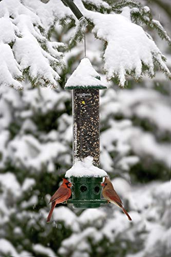 Squirrel Buster Plus Squirrel-proof Bird Feeder w/Cardinal Ring and 6 Feeding Ports, 5.1-pound Seed Capacity, Adjustable, Pole-mountable (POLE ADAPTOR SOLD SEPARATELY), Green | Cardinal ring, six ports, weight adjustment, pole-mountable, adapter sold sepa