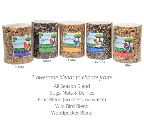 JCs Wildlife Bird Seed Cylinder with Hole Variety Pack, Premium Blends Wild Bird Food for Outside Feeders, Cardinals Woodpeckers Finches Bluebirds Chickadees, Made in the USA, Large, 5 Pack