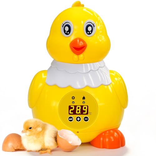 Incubators for Hatching Eggs, Small Egg Incubator with Temperature Control, Air Circulation & Viewing Window, 6 Eggs Poultry Hatcher for Chicken Duck Quail Pigeon Pheasant, Ideal for Home Lab Kids