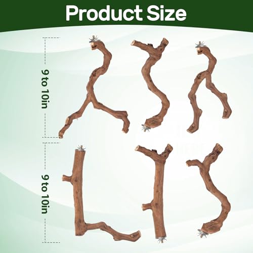 6-Piece Premium Bird Perch Stand with Natural Grape Wood Branch, Paw Grinding Fork, Chewing Stick, Cage Accessories for Parakeets, Budgies, Cockatiels, Finches, Lovebirds - size: 6Piece